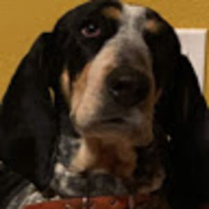 Meet your Posher, Faith